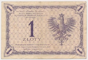 1 zloty 1919 - S.9 C - rare single-digit series