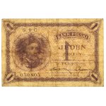 1 złoty 1919 - S.9 C