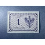 1 złoty 1919 - S.28 I
