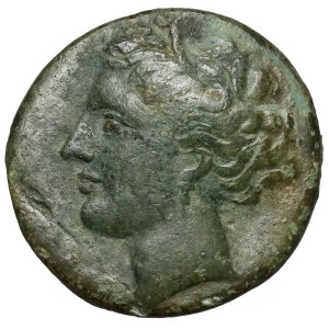 Grecja, Sycylia Syrakuzy, AE19 (275-215 p.n.e.)