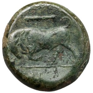 Grecja, Sycylia Syrakuzy, AE19 (275-215 p.n.e.)