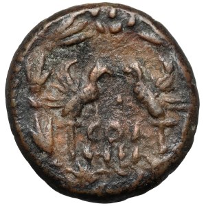 Septymiusz Sewer (193-211 n.e.) AE22, Syria, Heliopolis