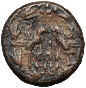 Septime Sévère (193-211 ap. J.-C.) AE22, Syrie, Héliopolis