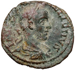 Licinius I (308-324 AD) AE21, Troas