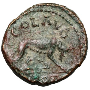 Licyniusz I (308-324 n.e.) AE21, Troas
