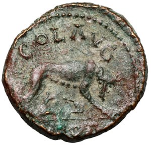 Licinius I (308-324 AD) AE21, Troas