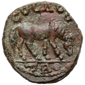 Grecja, Troas, Aleksandria, AE20 (251-260 n.e.)