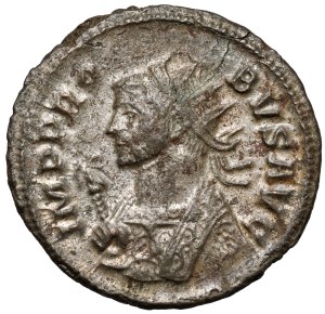Probus (276-282 n.e.) Antoninian, Rzym