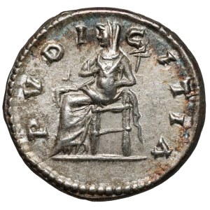 Julia Domna (193-217 n.e.) Denar
