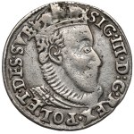 Zygmunt III Waza, Trojak Olkusz 1588 - TARCZA - B.RZADKI