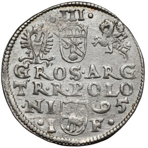 Zygmunt III Waza, Trojak Olkusz 1595 - ruszt w otoku