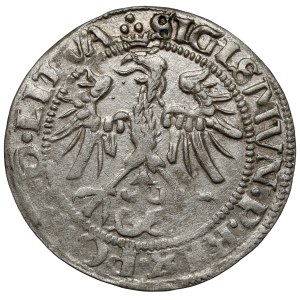 Zygmunt I Stary, Grosz Wilno 1536 - litera F