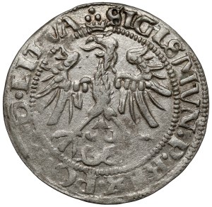 Sigismond Ier le Vieux, centime de Vilnius 1536 - lettre I - janvier