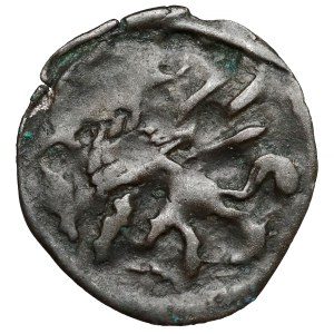 Pomerania, Pyrzyce, Denarius - rosette