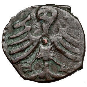 Władysław III Warneńczyk, Denar Kraków