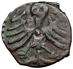 Ladislas III Varna, Denier de Cracovie - avec DÉCORATION