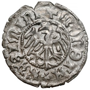 Kazimierz IV Jagiellończyk, Półgrosz Kraków