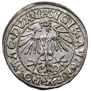 Zygmunt II August, Półgrosz Wilno 1550