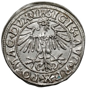 Sigismond II Auguste, demi-penny Vilnius 1550