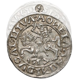 Zygmunt II August, Półgrosz Wilno 1557 - 2x koniczyna - rzadki