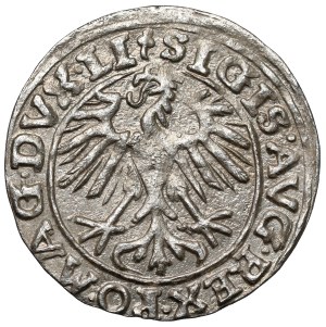 Sigismond II Auguste, Vilnius 1557 demi-penny - 2x trèfle - rare