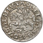 Zygmunt II August, Półgrosz Wilno 1557 - 2x koniczyna - rzadki