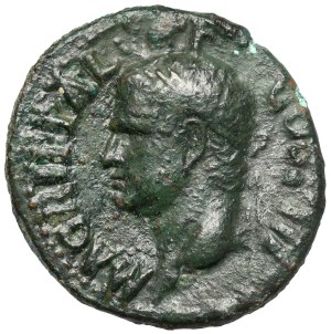 Agrippa - As posthume frappé sous le règne de Caligula (37-41 ap. J.-C.).