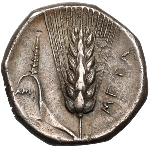 Grecja, Lukania, Metapontum, Nomos (340-330 p.n.e.)