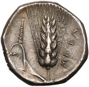 Grèce, Lucanie, Métaponte, Nomos (340-330 av. J.-C.)