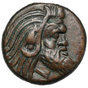 Grecja, Tracja / Chersonez, Pantikapajon, AE20 (345-310 p.n.e.)