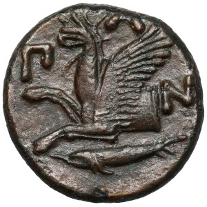 Grecja, Tracja / Chersonez, Pantikapajon, AE20 (345-310 p.n.e.)