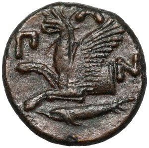 Grèce, Thrace / Chersonèse, Pantikapaion, AE20 (345-310 av. J.-C.).