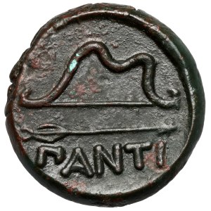 Grecja, Tracja / Chersonez, Pantikapajon (340-325 p.n.e.) AE25