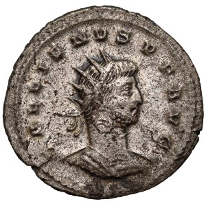 Galien (253-268 n.e.) Antoninian, Antiochia