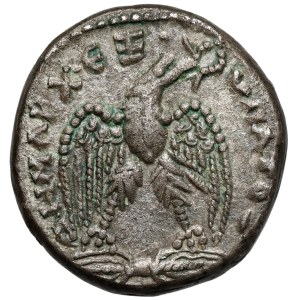 Makrynus (217-218 n.e.) Tetradrachma, Seleuceia Pieria