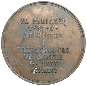 Medal Agricultural and Industrial Exhibition in Lviv 1877 - Dzieduszycki