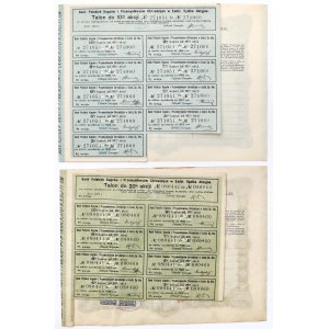 Bank Polskich Kupców i ..., Em.4, 20x 500 mkp i Em.5, 10x 500 mkp (2szt)