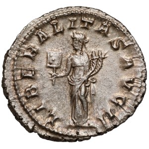 Gordian III (238-244 n.e.) Antoninian, Rzym