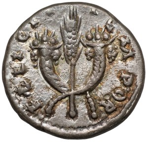 Septimius Severus (193-211 A.D.) Denarius, Emesa - error without 'E' in SEV