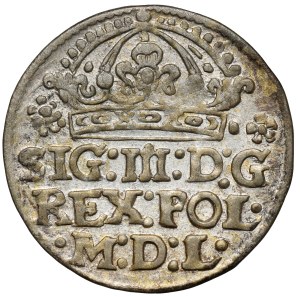 Sigismond III Vasa, Grosz Kraków 1613