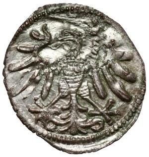 Sigismund I the Old, Elblag denarius without date - BEAUTIFUL