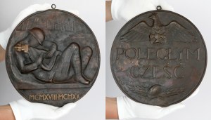 Medallions (240mm) Honoring the fallen 1920 - obverse and reverse