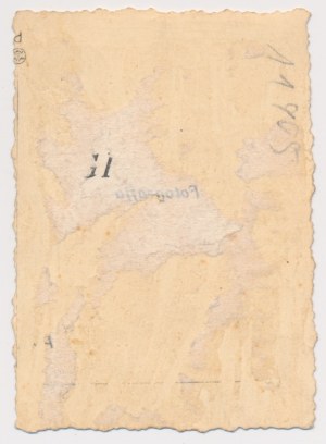 Photographie, insigne, 6e régiment de Kaniowski Uhlans ( ?)