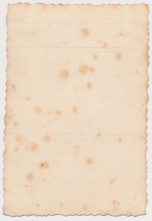 Photographie, insigne, 5e régiment d'artillerie lourde de Lviv, front lituano-biélorusse et défenseurs des frontières 1920 (wz.2)