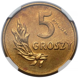 Sampled brass 5 pennies 1949