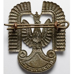 PSZnZ, Orzeł Polskich Sił Powietrznych