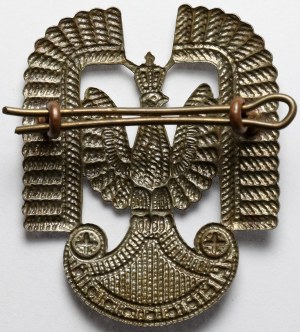 PSZnZ, l'aigle de l'armée de l'air polonaise