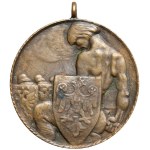 Medal, Oswobodzenie Krakowa 1918
