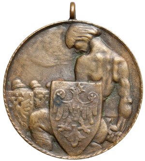 Medal, Oswobodzenie Krakowa 1918