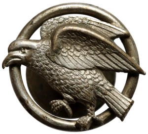 Sokol Gymnastic Association, épingle à collier